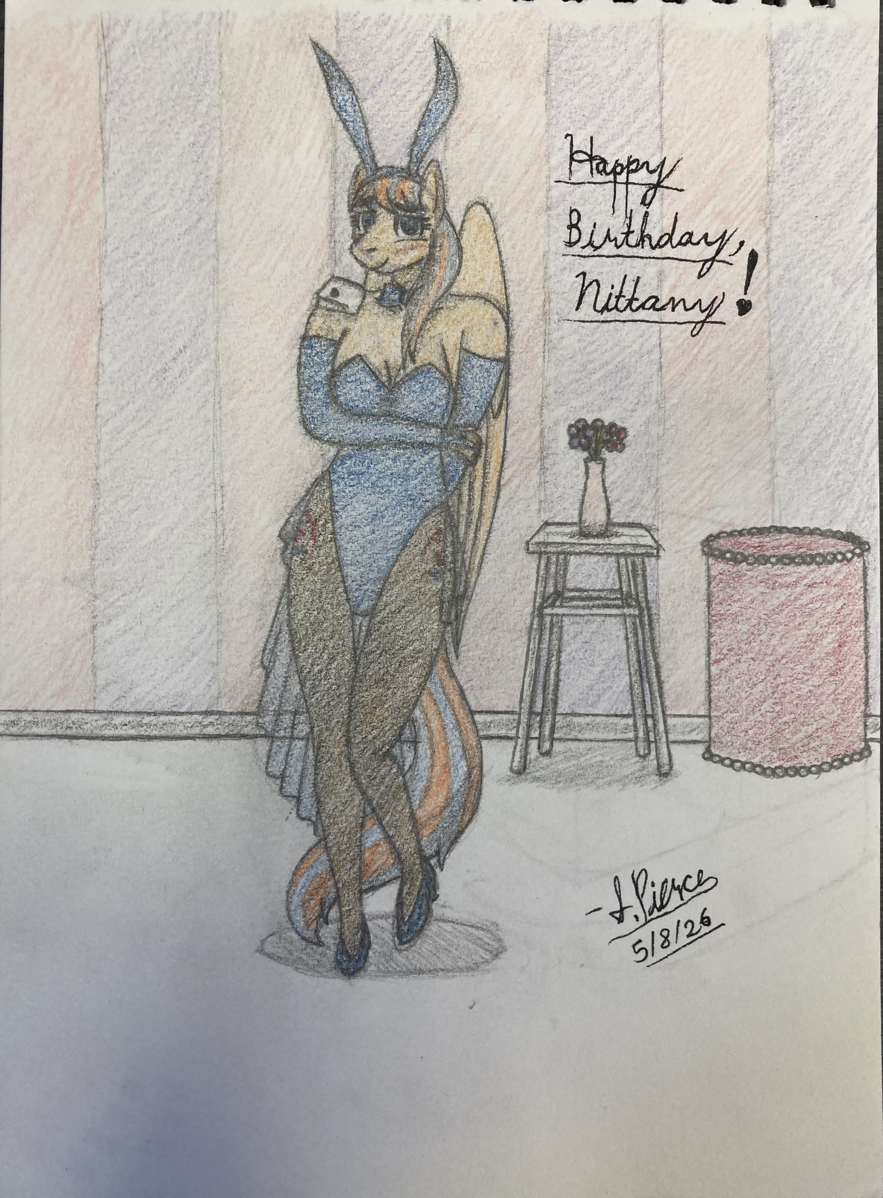 Late Birthday Gift for Nittany Discord
